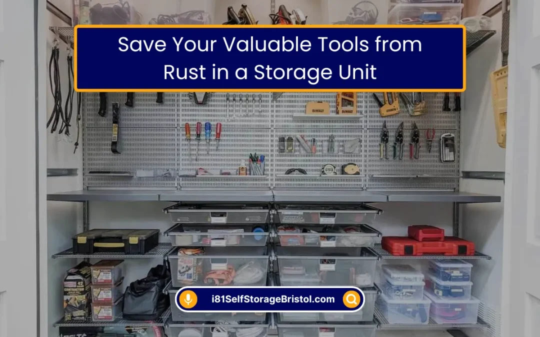 Save Your Valuable Tools from Rust in a Storage Unit (2026)
